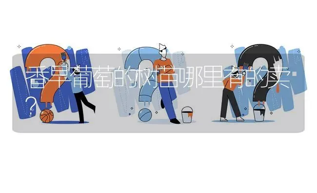 香早葡萄的树苗哪里有的卖? | 养殖问题解答