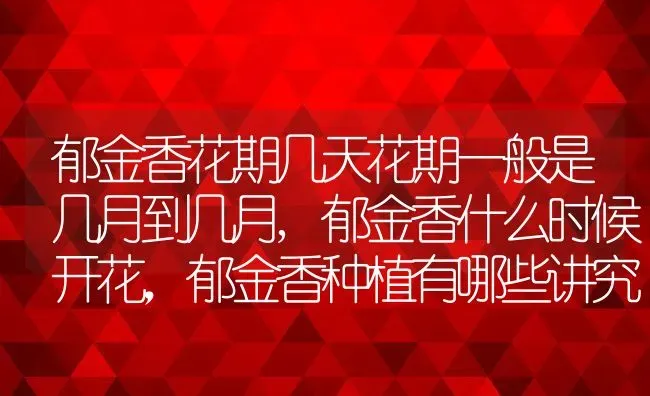 郁金香花期几天花期一般是几月到几月,郁金香什么时候开花，郁金香种植有哪些讲究？ | 养殖常见问题