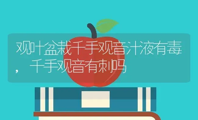 观叶盆栽千手观音汁液有毒,千手观音有刺吗 | 养殖常见问题