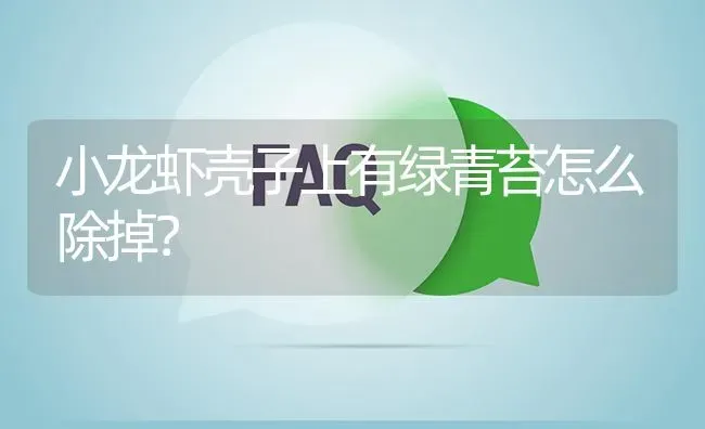 小龙虾壳子上有绿青苔怎么除掉? | 养殖问题解答