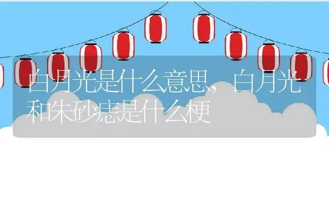 白月光是什么意思,白月光和朱砂痣是什么梗 | 养殖常见问题