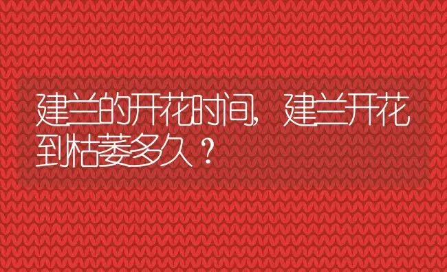 建兰的开花时间,建兰开花到枯萎多久？ | 养殖常见问题