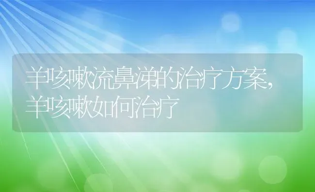 羊咳嗽流鼻涕的治疗方案,羊咳嗽如何治疗 | 养殖常见问题