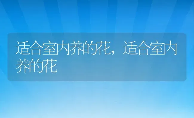 石榴树几年结果种几年开花结果,石榴树几年开花结果单棵结果吗？ | 养殖常见问题