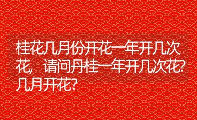 桂花几月份开花一年开几次花,请问丹桂一年开几次花?几月开花？ | 养殖常见问题