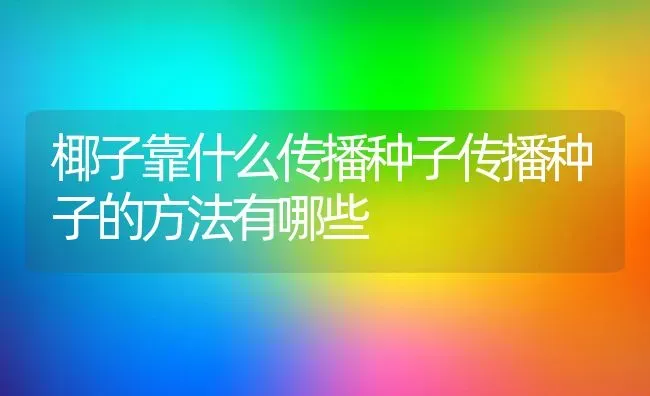 椰子靠什么传播种子传播种子的方法有哪些 | 养殖常见问题