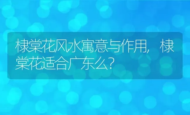 棣棠花风水寓意与作用,棣棠花适合广东么？ | 养殖常见问题