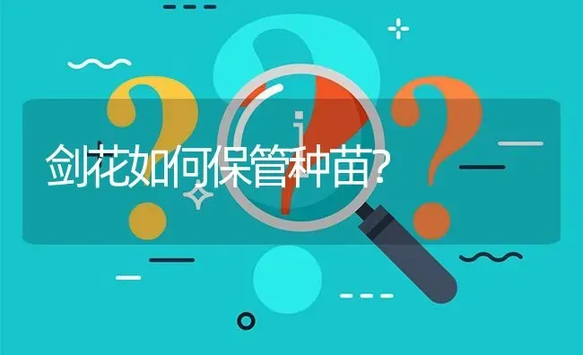 剑花如何保管种苗? | 养殖问题解答