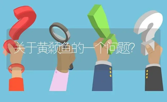 关于黄颡鱼的一个问题? | 养殖问题解答