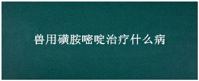 兽用磺胺嘧啶治疗什么病 | 生活常识