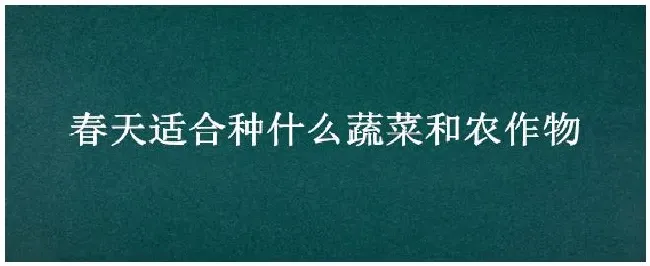 春天适合种什么蔬菜和农作物 | 农业问题