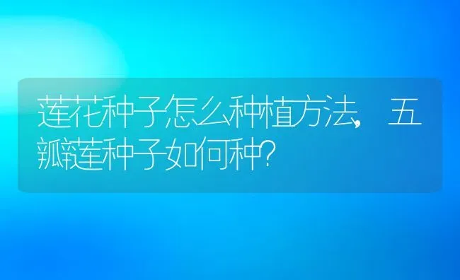 莲花种子怎么种植方法,五瓣莲种子如何种？ | 养殖常见问题