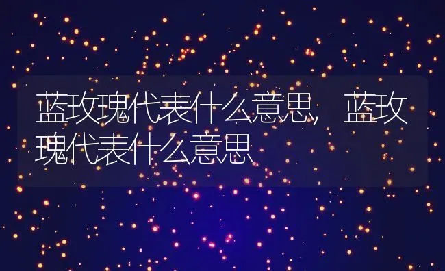 蓝玫瑰代表什么意思,蓝玫瑰代表什么意思 | 养殖常见问题