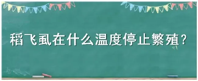 稻飞虱在什么温度停止繁殖 | 三农问答