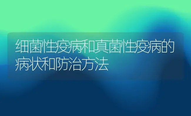 细菌性疫病和真菌性疫病的病状和防治方法 | 养殖常见问题