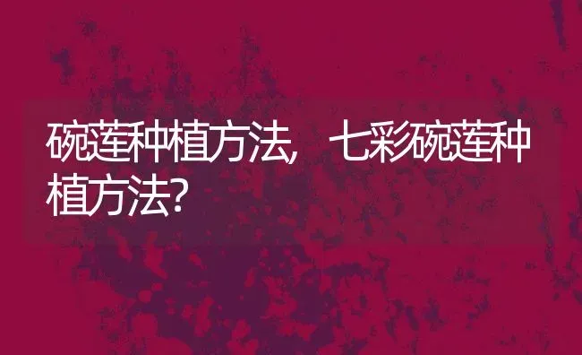 碗莲种植方法,七彩碗莲种植方法？ | 养殖常见问题