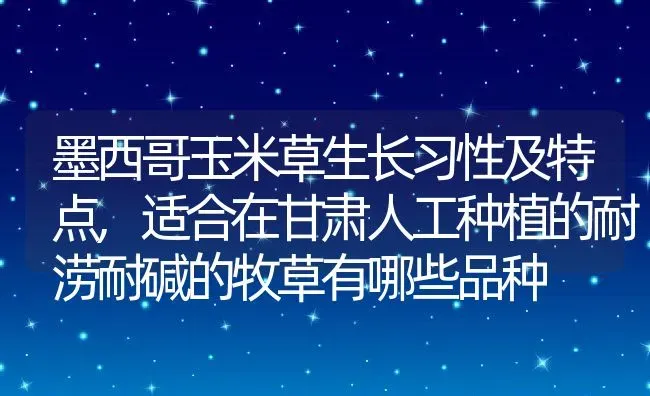 墨西哥玉米草生长习性及特点,适合在甘肃人工种植的耐涝耐碱的牧草有哪些品种 | 养殖常见问题