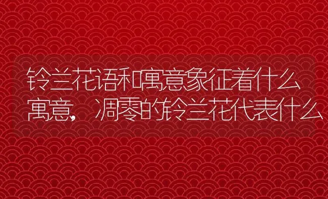 铃兰花语和寓意象征着什么寓意,凋零的铃兰花代表什么 | 养殖常见问题