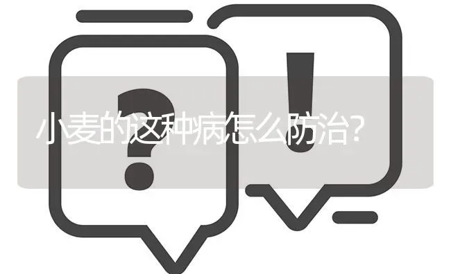 小麦的这种病怎么防治? | 养殖问题解答