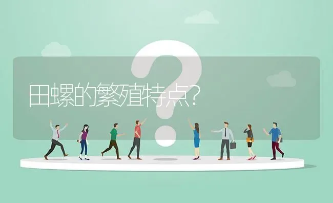 田螺的繁殖特点? | 养殖问题解答