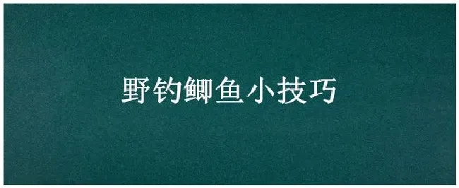 野钓鲫鱼小技巧 | 农业常识