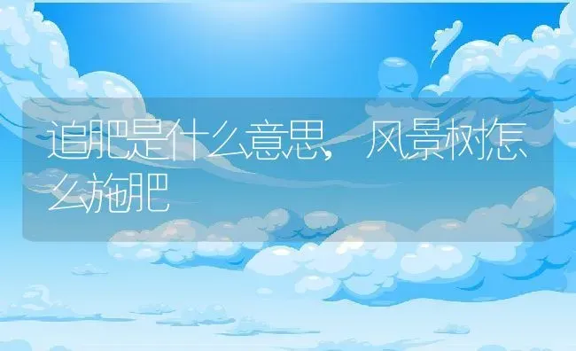 怎么区分姬胧月和胧月,多肉植物。请问这个是姬胧月吗？有人说是冬美人有人说是白牡丹。没太阳，今天有片叶子好像焉了？ | 养殖常见问题