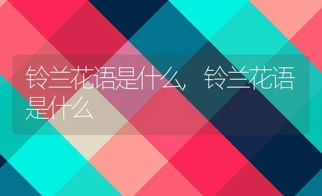 铃兰花语是什么,铃兰花语是什么 | 养殖常见问题