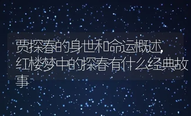 贾探春的身世和命运概述,红楼梦中的探春有什么经典故事 | 养殖常见问题