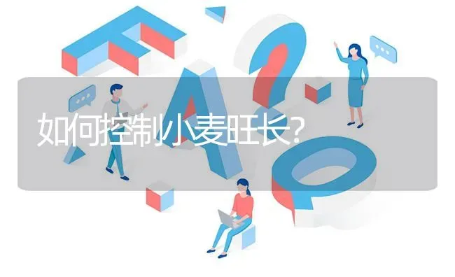 如何控制小麦旺长? | 养殖问题解答