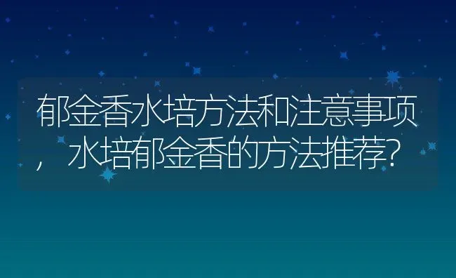 郁金香水培方法和注意事项,水培郁金香的方法推荐？ | 养殖常见问题