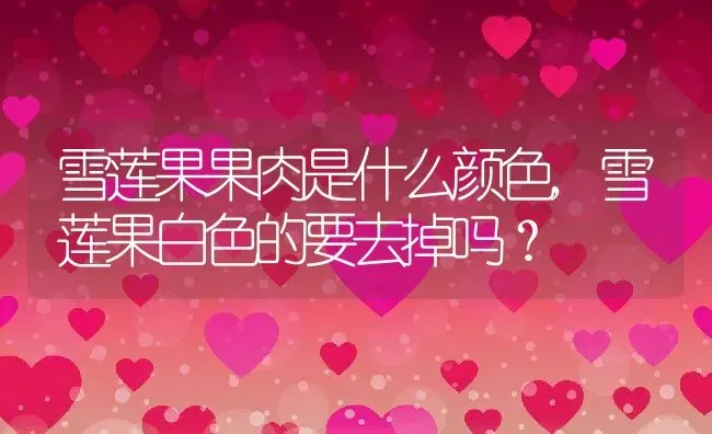 绣球无尽夏的养殖方法和注意事项,无尽夏绣球怎么配土？ | 养殖常见问题