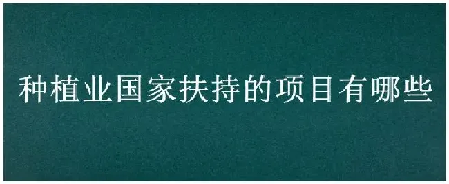 种植业国家扶持的项目有哪些 | 三农答疑