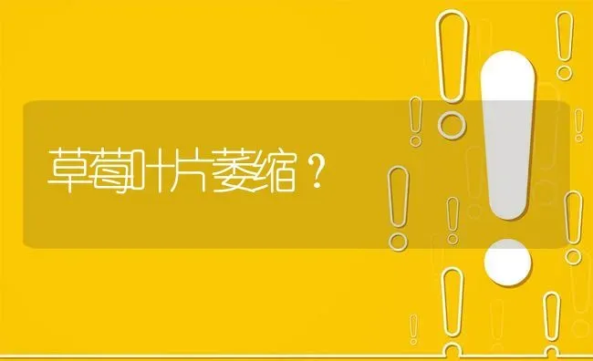 草莓叶片萎缩? | 养殖问题解答