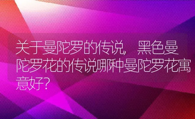 关于曼陀罗的传说,黑色曼陀罗花的传说哪种曼陀罗花寓意好？ | 养殖常见问题