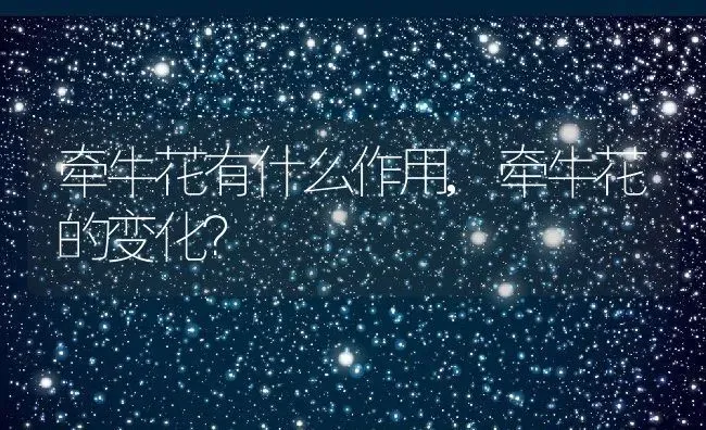 牵牛花有什么作用,牵牛花的变化？ | 养殖常见问题
