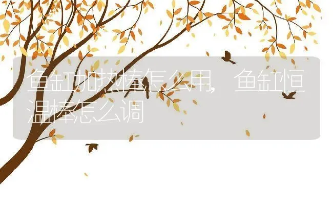 鱼缸加热棒怎么用,鱼缸恒温棒怎么调 | 养殖常见问题