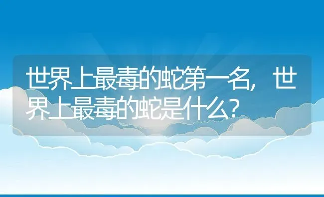 世界上最毒的蛇第一名,世界上最毒的蛇是什么？ | 养殖常见问题