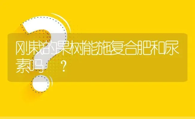 刚栽的果树能施复合肥和尿素吗
? | 养殖问题解答