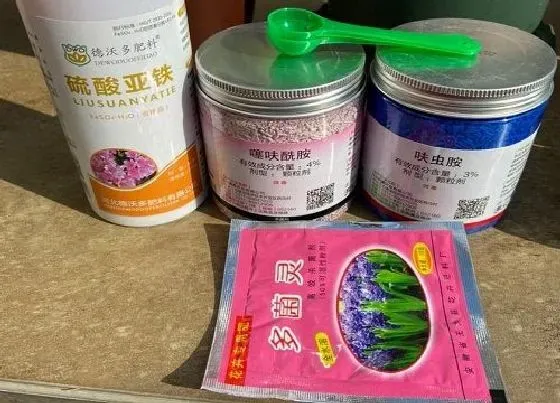 植物常识问题|使用硫酸亚铁养花的正确方法