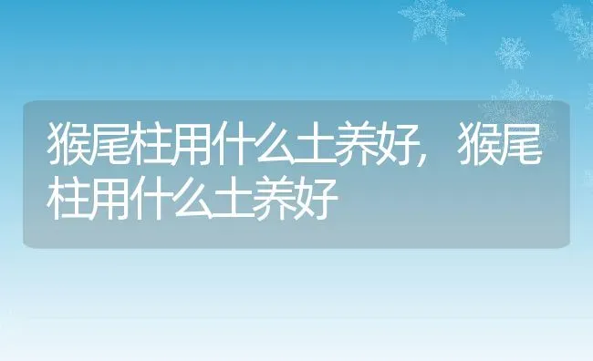 猴尾柱用什么土养好,猴尾柱用什么土养好 | 养殖常见问题