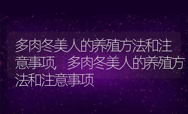 多肉冬美人的养殖方法和注意事项,多肉冬美人的养殖方法和注意事项 | 养殖常见问题