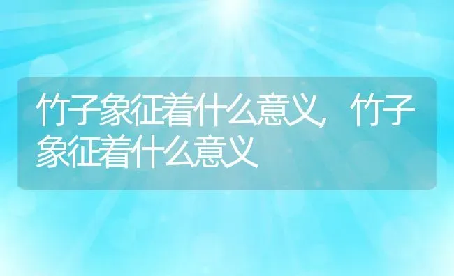 竹子象征着什么意义,竹子象征着什么意义 | 养殖常见问题