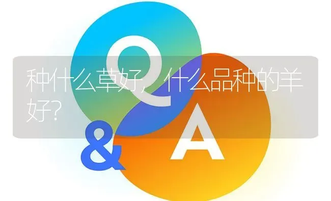 种什么草好,什么品种的羊好? | 养殖问题解答