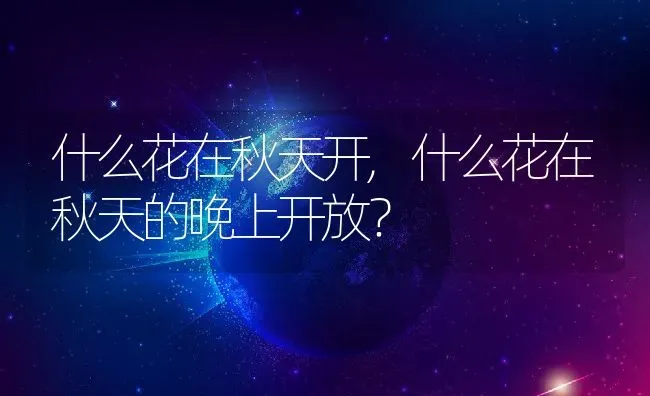 什么花在秋天开,什么花在秋天的晚上开放？ | 养殖常见问题