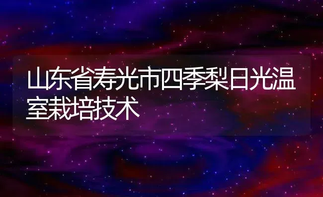 山东省寿光市四季梨日光温室栽培技术 | 养殖常见问题