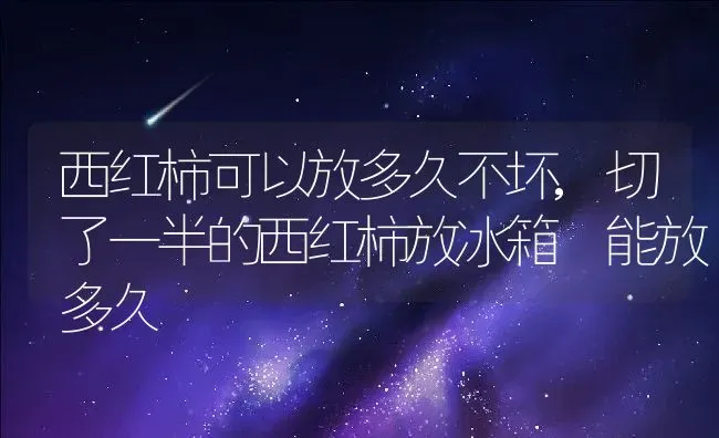 西红柿可以放多久不坏,切了一半的西红柿放冰箱 能放多久 | 养殖常见问题