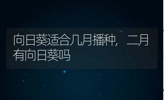 向日葵适合几月播种,二月有向日葵吗 | 养殖常见问题