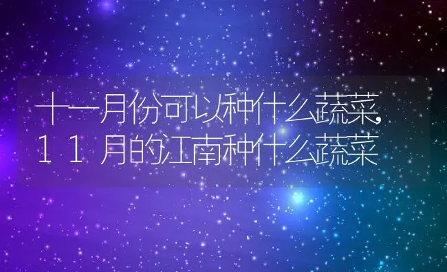 十一月份可以种什么蔬菜,11月的江南种什么蔬菜 | 养殖常见问题