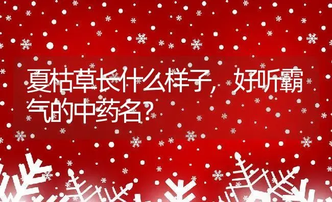 夏枯草长什么样子,好听霸气的中药名？ | 养殖常见问题