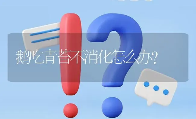 鹅吃青苔不消化怎么办? | 养殖问题解答
